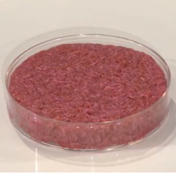 [RERUN] What is cultured meat?