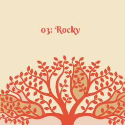 03: Rocky