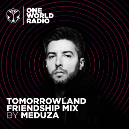 Tomorrowland Friendship Mix - MEDUZA