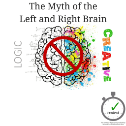 ProdPod: Episode 104 -- The Myth of the Left and Right Brain