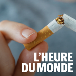 La cigarette, une « bombe écotoxique » pour l’environnement