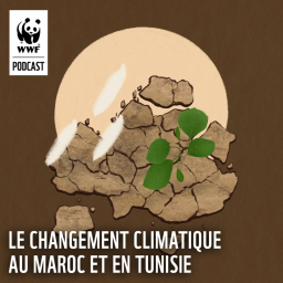 Le changement climatique au Maroc et en Tunisie