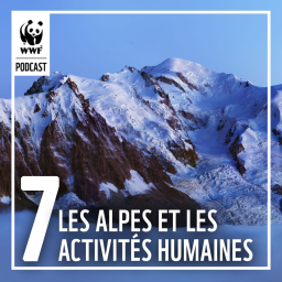 La chaîne des Alpes et les activités humaines