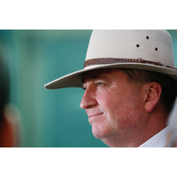 A second dose of Barnaby Joyce