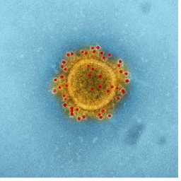 Un vaccin contre le Covid-19, mais rien contre le VIH ? Le podcast