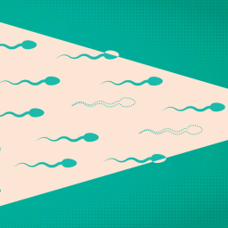 What is male contraception?