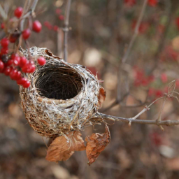 What is empty nest syndrome?