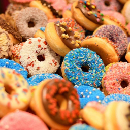 What is Doughnut Economics?