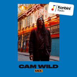 'Soulful Classics' Mix - Cam Wild