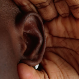 Pourquoi a-t-on les oreilles qui sifflent ?