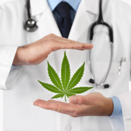 Pourquoi le cannabis peut-il être considéré comme thérapeutique ?