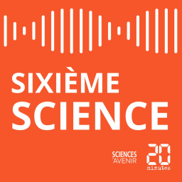 Podcast - Sixième Science