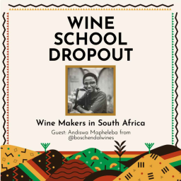 WSD Semester Abroad: Wine Makers in South Africa