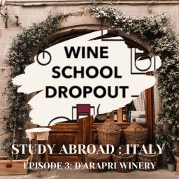 WSD Study Abroad: D'Arapri Winery