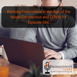 Working From Home in the Age of the Novel Coronavirus and COVID-19