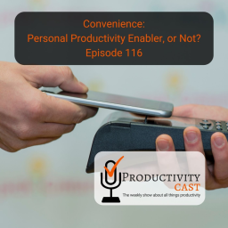 Convenience: Personal Productivity Enabler, or Not?