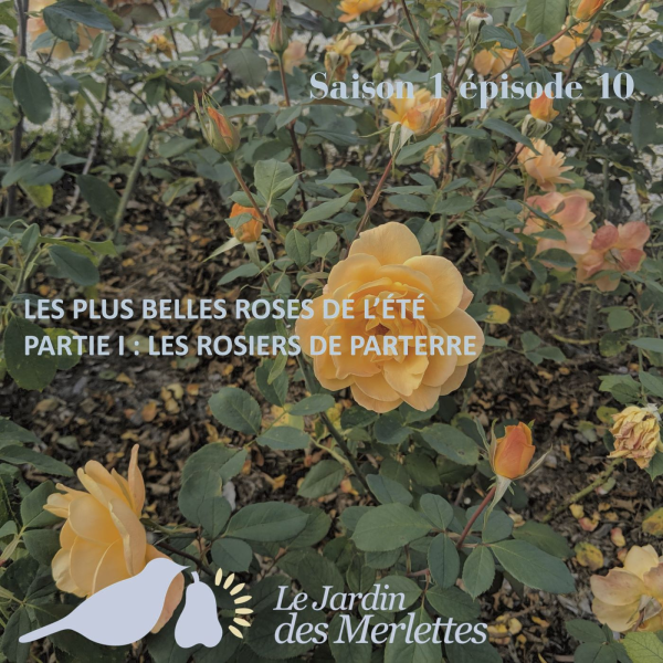 Le podcast du Jardin des Merlettes