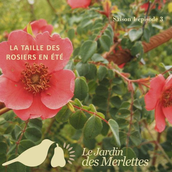 Le podcast du Jardin des Merlettes