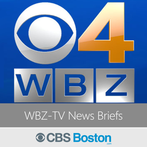 WBZ TV News Briefs