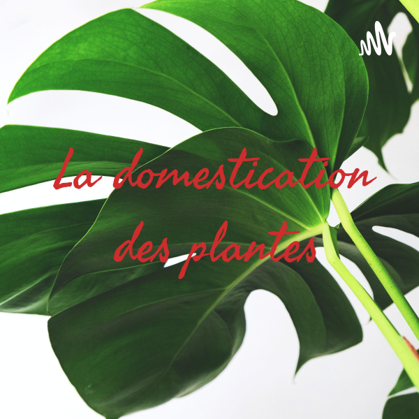 La domestication des plantes