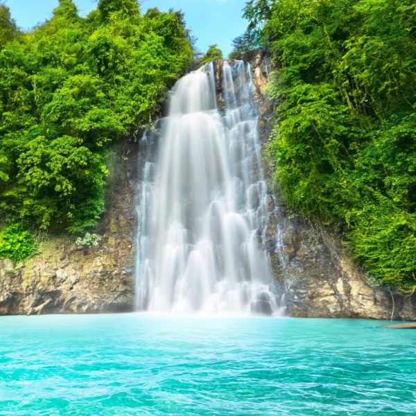 Nature Sounds Waterfall and Rainforest Sleep Music and Relaxation  859700450376 - eBay