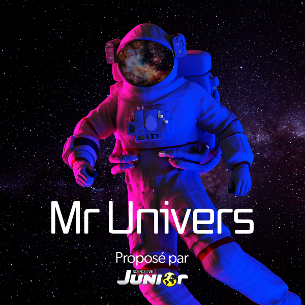 Mister Univers