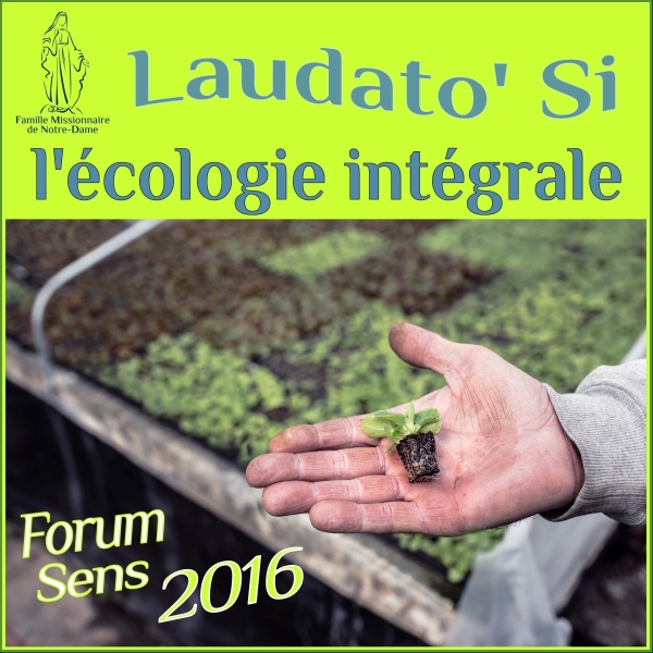 Podcast Domini - Laudato Si : l'écologie intégrale
