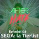 Episode 103 : SEGA, la Tierlist