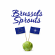 CNAS 2021 National Security Conference | Live Podcast: CNAS Brussels Sprouts