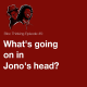 What's going on in Jono's head?