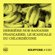 #120 - Derrière nos bananes françaises, le scandale du chlordécone
