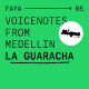 Voicenotes from Medellin : la guaracha