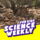The Lost Species of the Elephant Shrew &  Dr. Jess French!