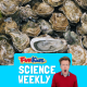 Challenger Deep & The Science Of Oysters