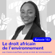 Chancia Ivala Plaine, le droit africain de l'environnement