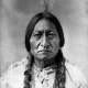 Toro Sentado, el u&#769;ltimo gran jefe de los sioux