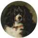 Storical Footnotes: Queen Victoria's Beloved Dog Dash