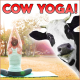 Cow Yoga!