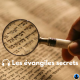 Les évangiles secrets - P. de Chaillé (S1E06)