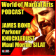 World Of Martial Arts Podcast 1