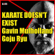 KARATE DOESN'T EXIST Gavin Mulholland Goju Ryu Interview