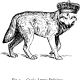 Canis Lupus Belgicus