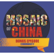 Mosaic of China with Oscar Fuchs - Bonus Episode on "Community"