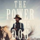 THE POWER OF THE DOG (NETFLIX)