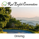 Driving | Real English Conversation Lesson | English Conversation Podcast