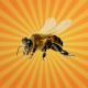 [REDIFF] Les abeilles ont développé leur propre wifi