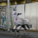 Bex, le nouveau robot animal de Kawasaki Robotics