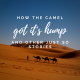How the Camel Got It's Hump - and other Just So Stories
