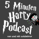 5 Minuten Harry Podcast #2 - Zu viel Geschenkpapier!
