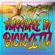 Avete mai pensato di fare un viaggio in BICICLETTA?